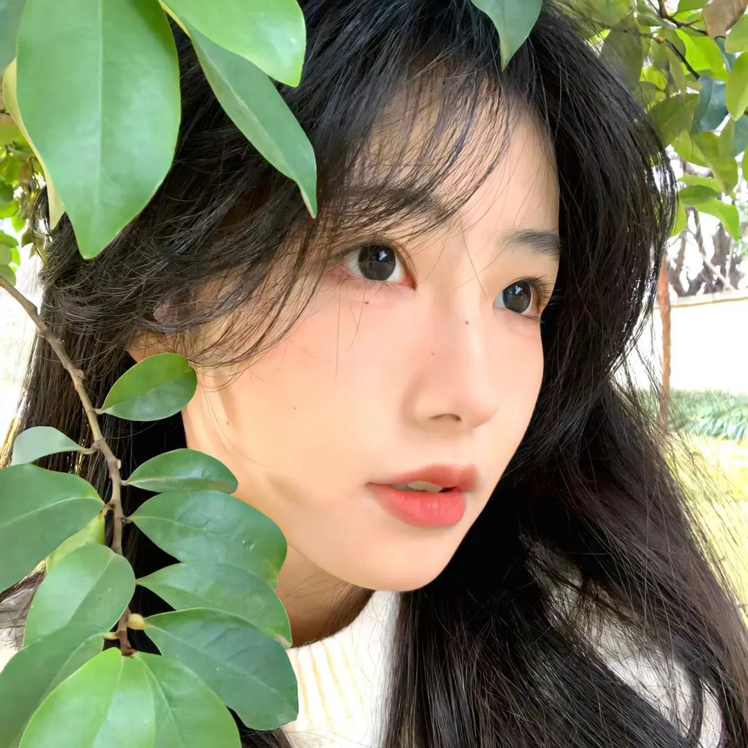 解放的潘多拉
